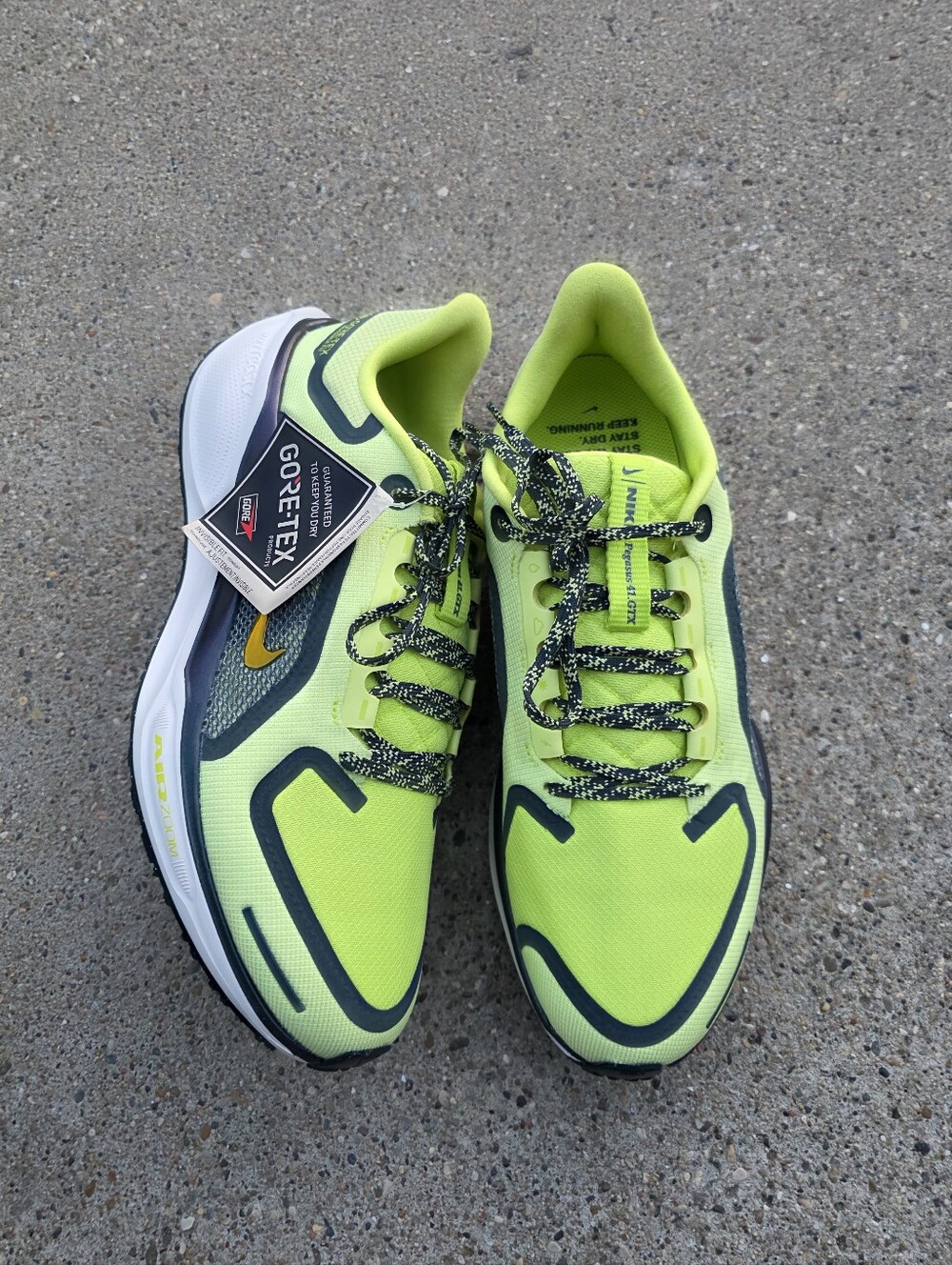 Nike Women's Pegasus 41 GORE-TEX  Sneaker Women 11.5